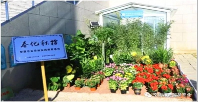 文朗润诚助力北京化工大学